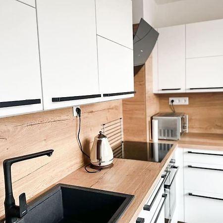 Krasny Zrekonstruovany Byt 3+1 リベレツ エクステリア 写真